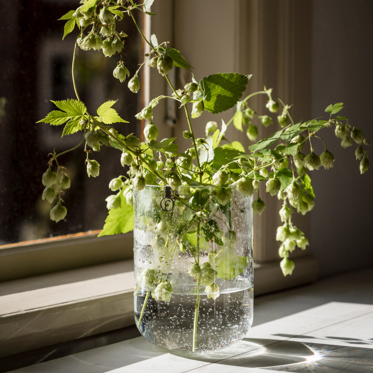 Vase Bubble aus Glas