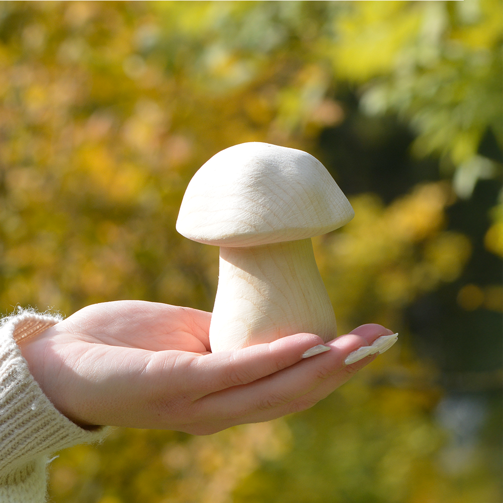 Steinpilz hoch - Zirbenholz